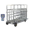 Wireless pig cage scale