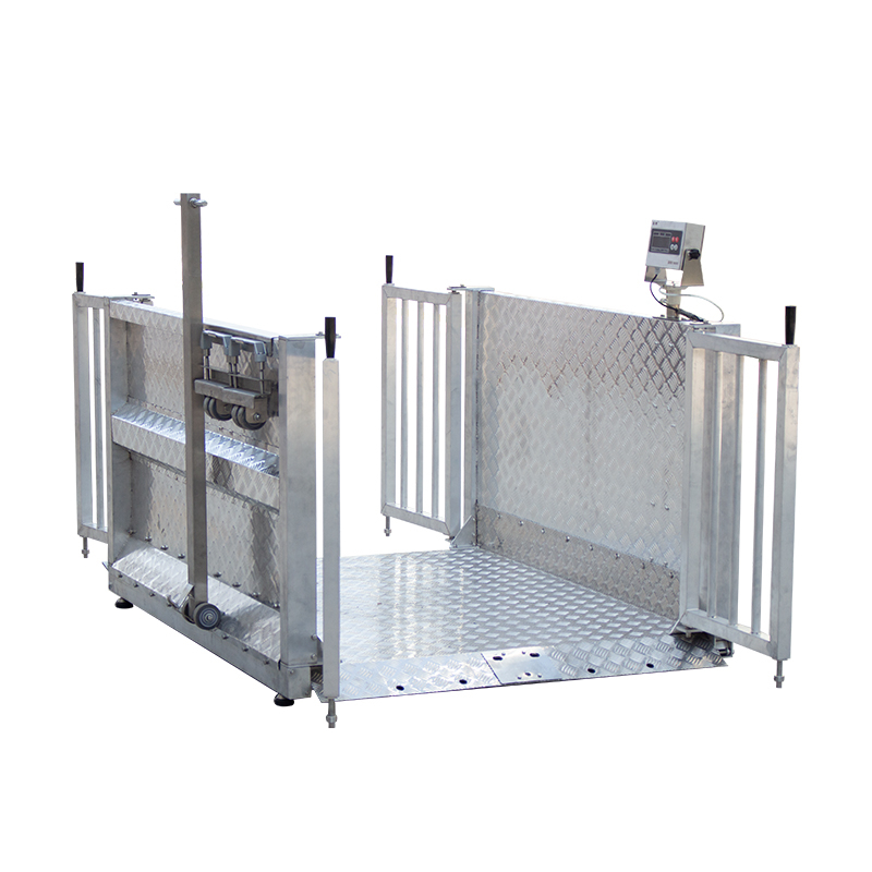 Aisle scale ( doors can be opened by foot pedal)