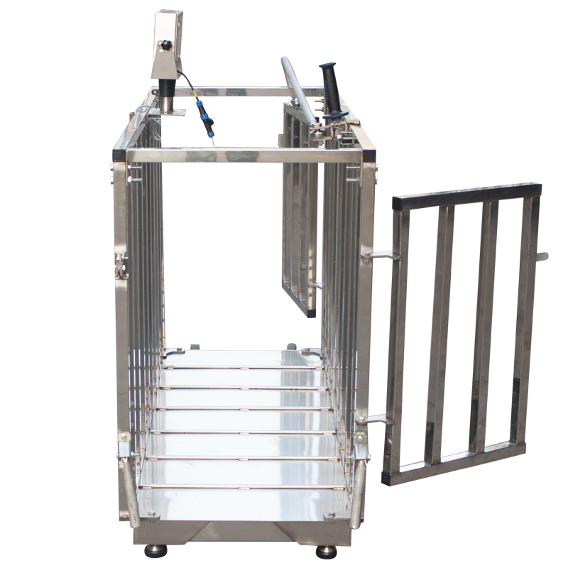 stainless steel pig cage scale with control lever