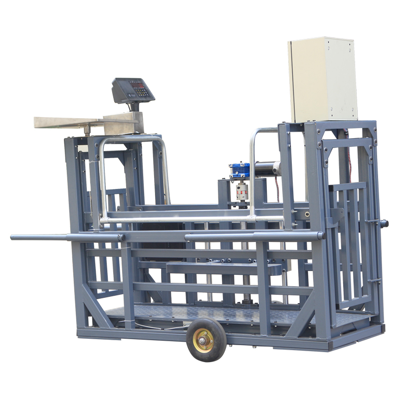 Electric breeding pig scale