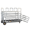 Wireless pig cage scale