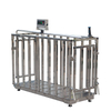 stainless steel cage scale with control lever for pig