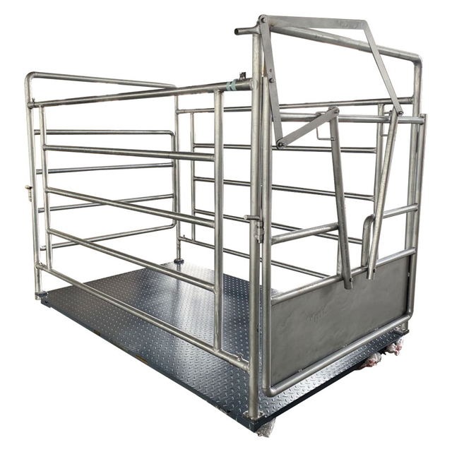 Cattle Quarantine Fence Scale