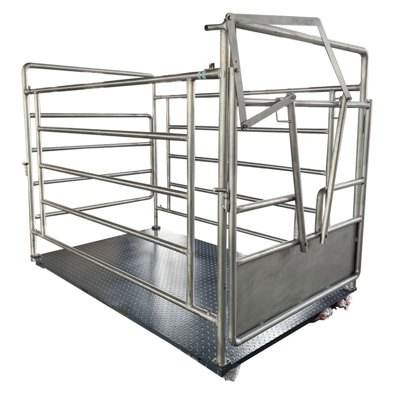 Cattle Quarantine Fence Scale