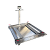 low profile double deck mobile floor scale