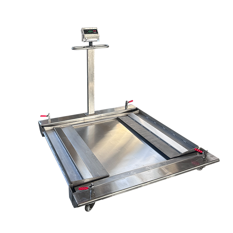 low profile double deck mobile floor scale