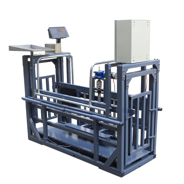 Electric breeding pig scale