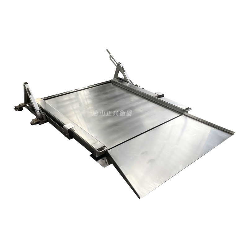 Lifts Stainless Stee Platform Scales