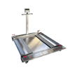 low profile double deck mobile floor scale