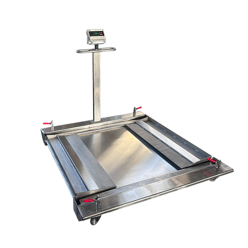 low profile double deck mobile floor scale