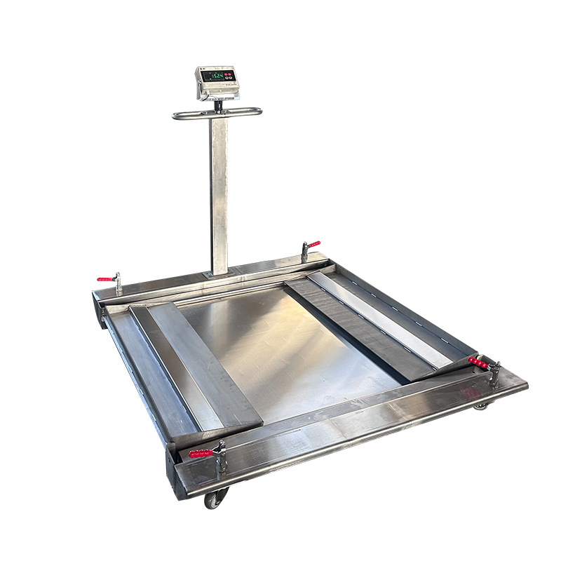 low profile double deck mobile floor scale