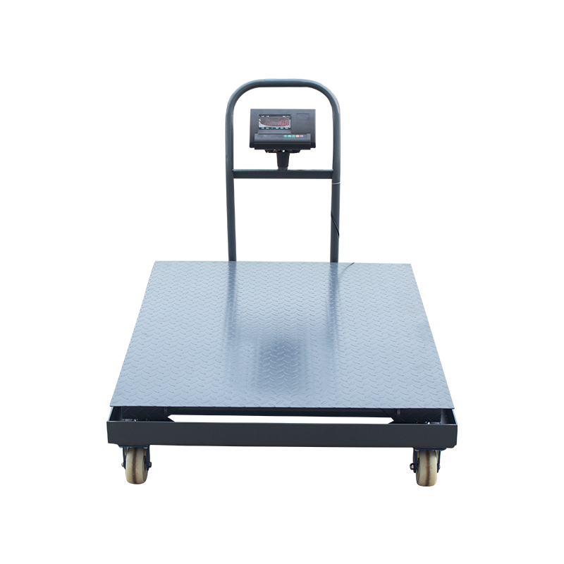 Trolley Scale