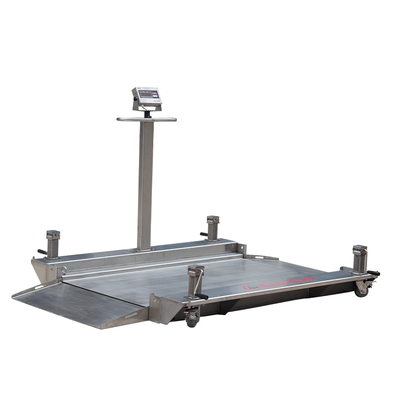 304 stainless steel low profile double deck mobile floor scale