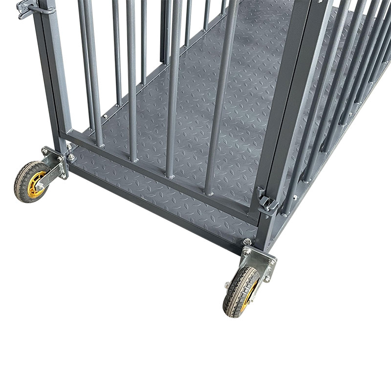 Cage Scale