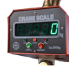 Industrial Hook Scale