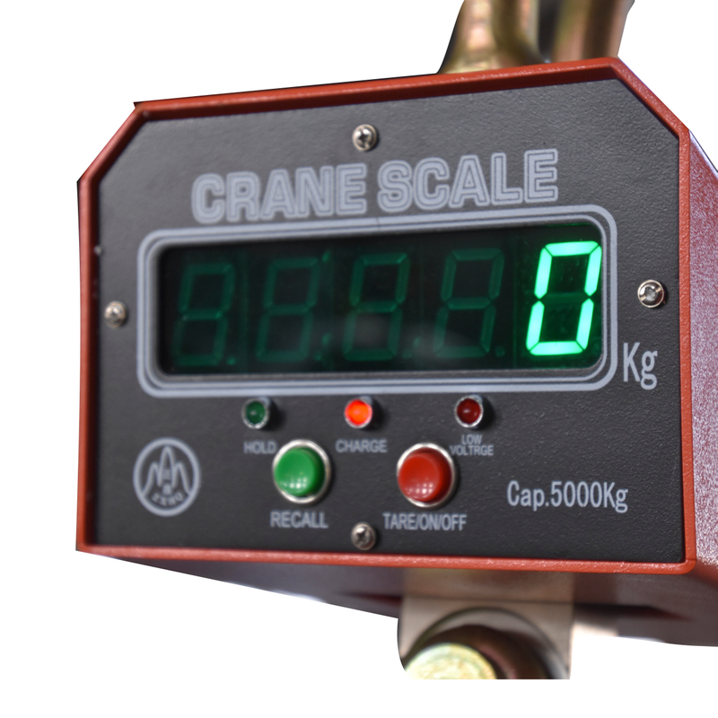 Industrial Hook Scale