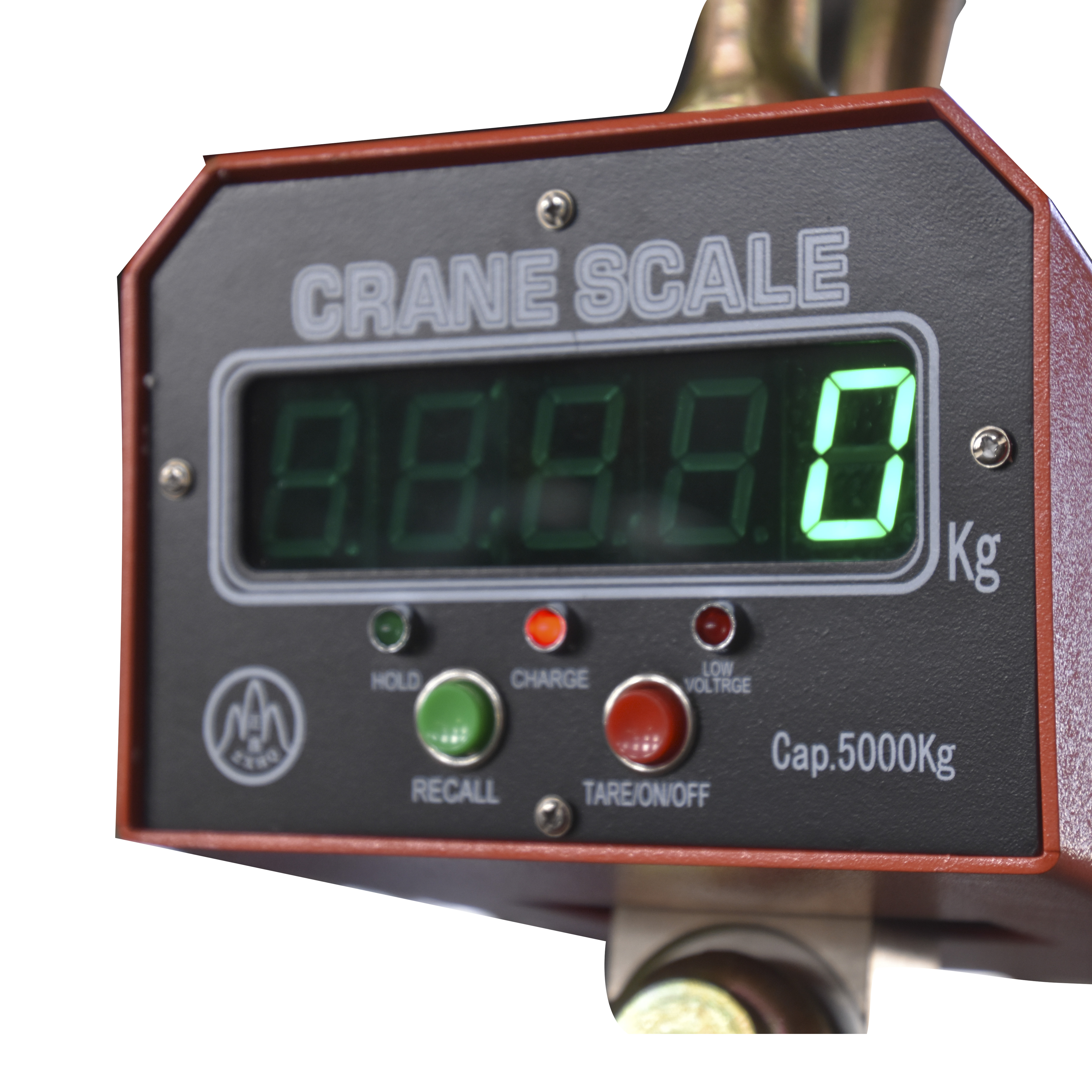 Industrial Hook Scale