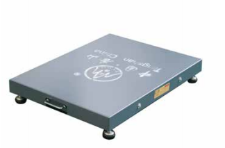 Portable Platform Scale BL-3