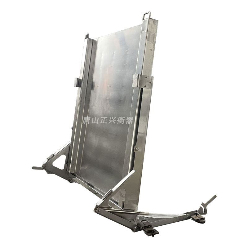 Lifts Stainless Stee Platform Scales
