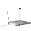 Mobile stainless steel low profile platform scale