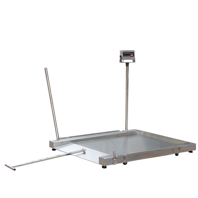 Mobile stainless steel low profile platform scale