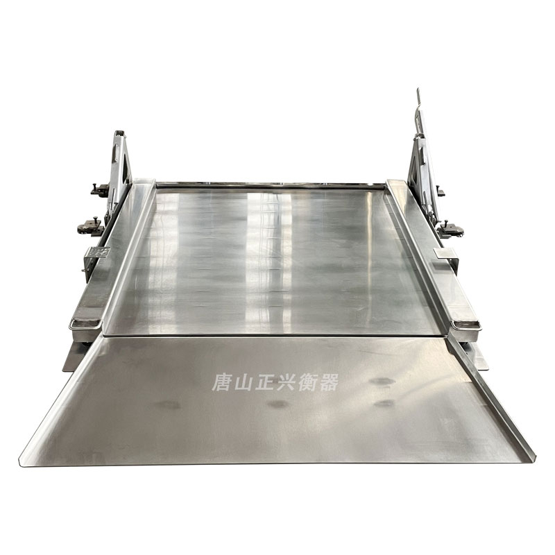 Lifts Stainless Stee Platform Scales