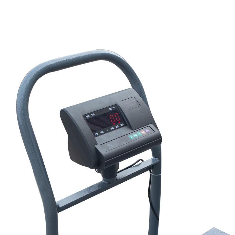 Trolley Scale