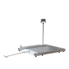 Mobile stainless steel low profile platform scale