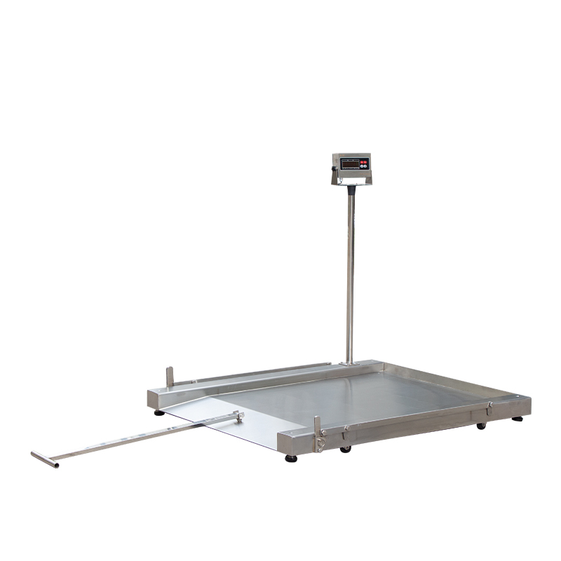 Mobile stainless steel low profile platform scale
