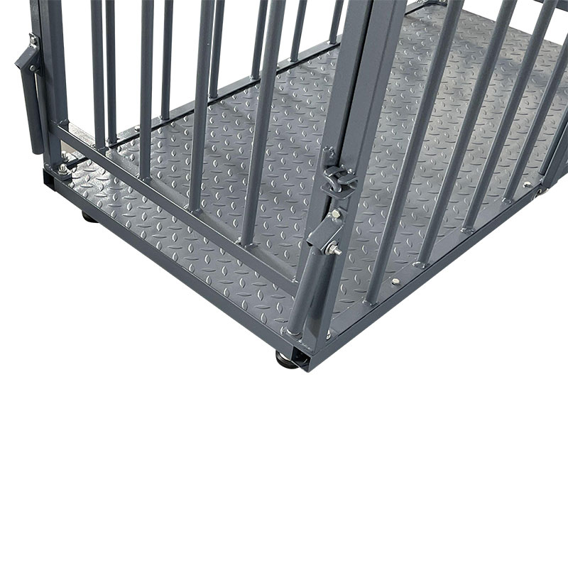 Cage Scale