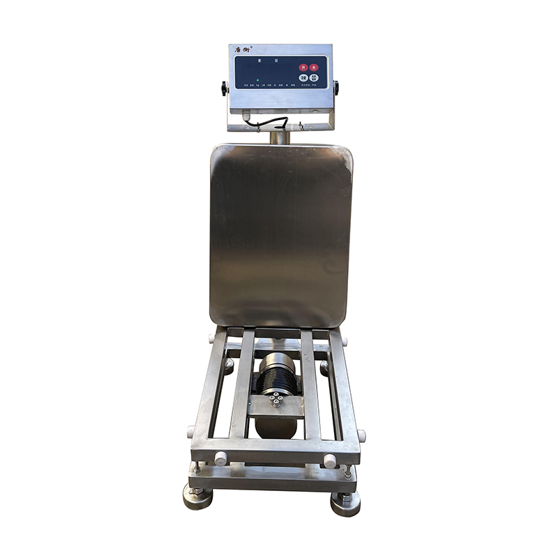 Stainless Steel Waterproof Bench Scale