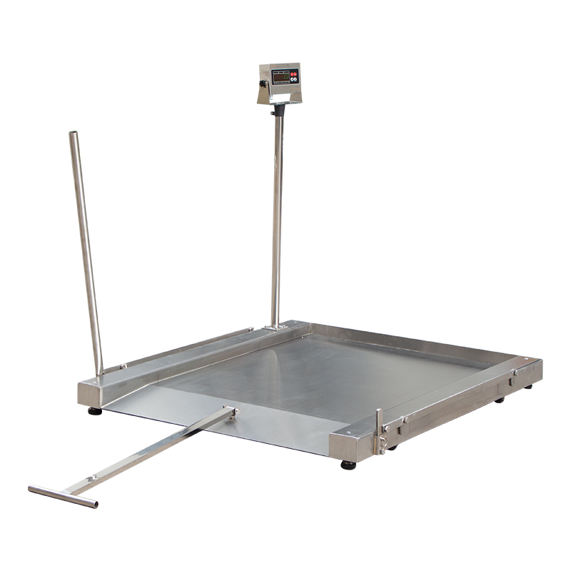 Mobile stainless steel low profile platform scale