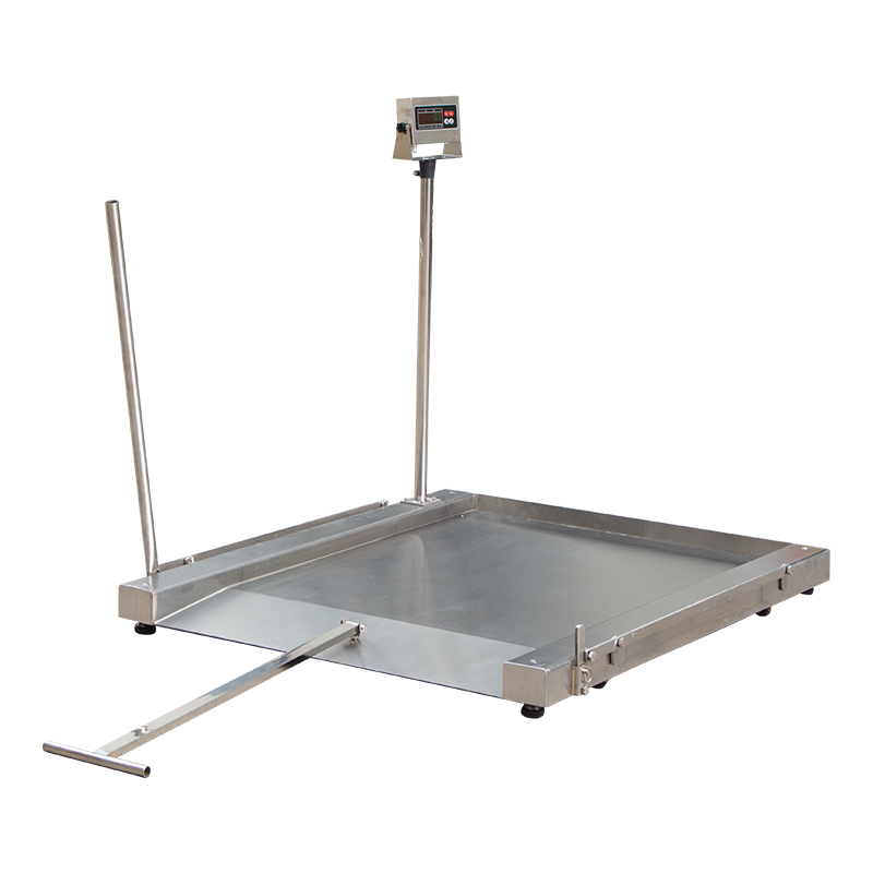 Mobile stainless steel low profile platform scale