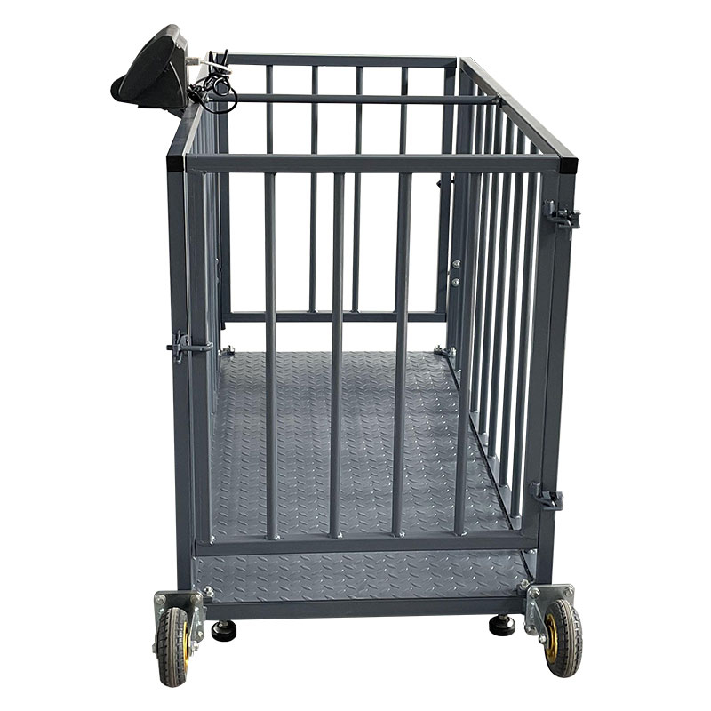 Cage Scale