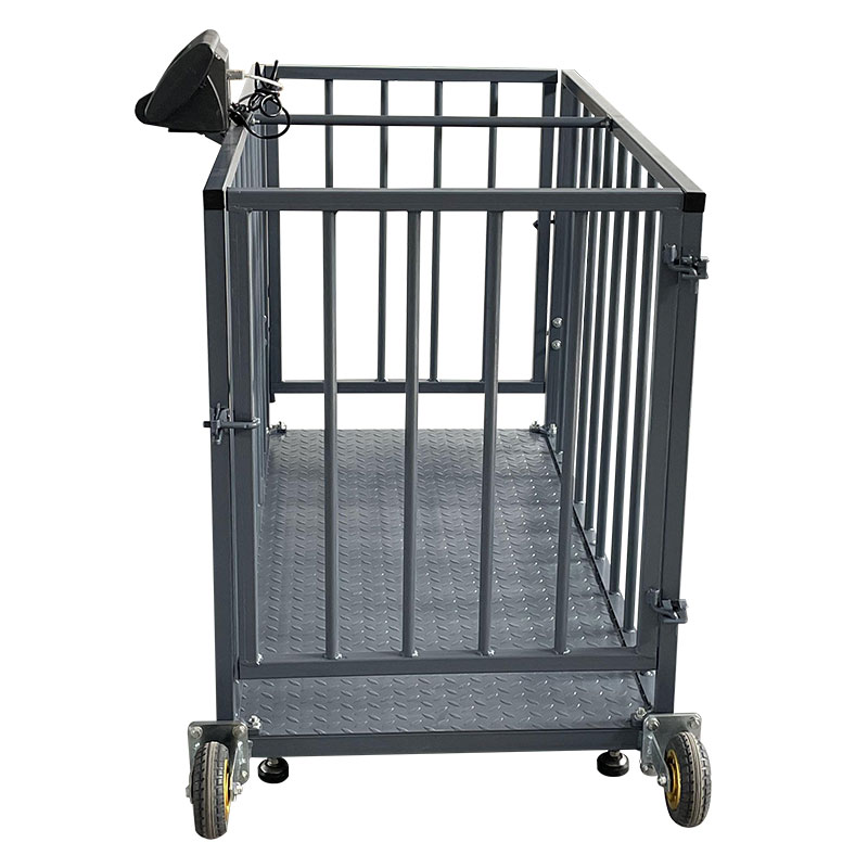Cage Scale