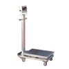 Mobile stainless steel bench scale