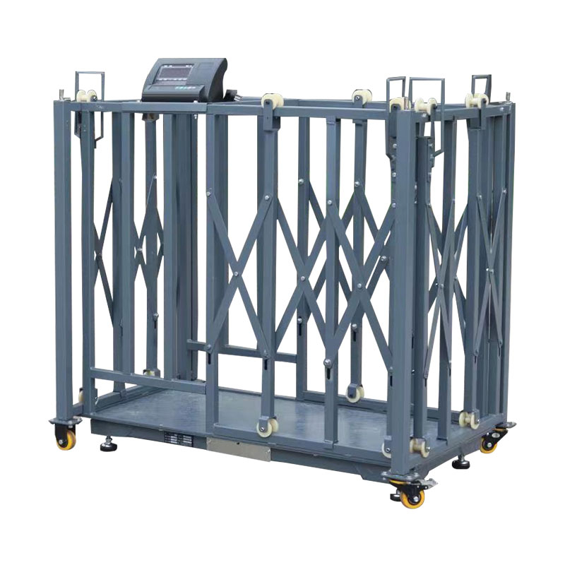  Sheep Quarantine Scale